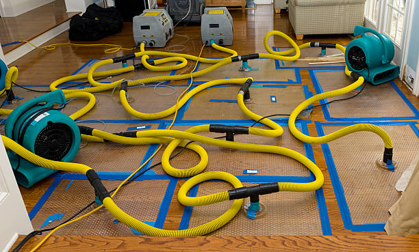 Professional Water Damage Restoration technician working in Allenspark, CO